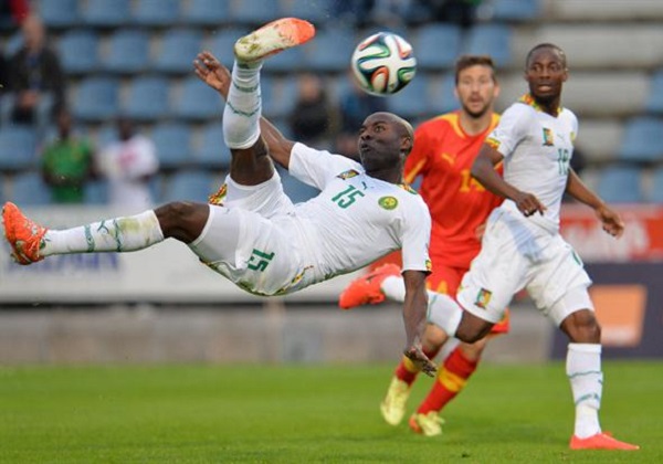 webo.jpg