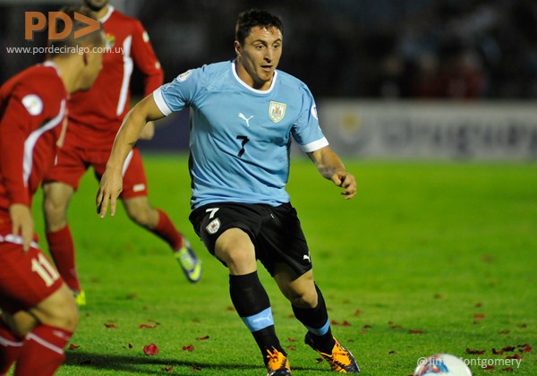 cebolla-rodriguez.jpg