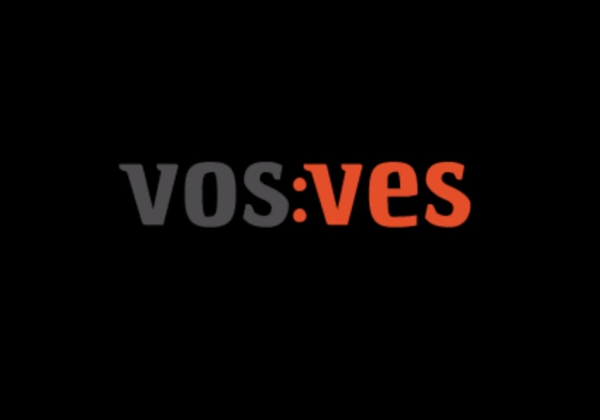 vos-ves.png