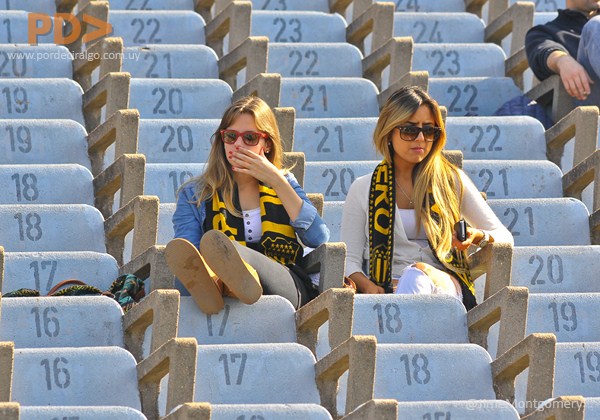 hinchas.jpg