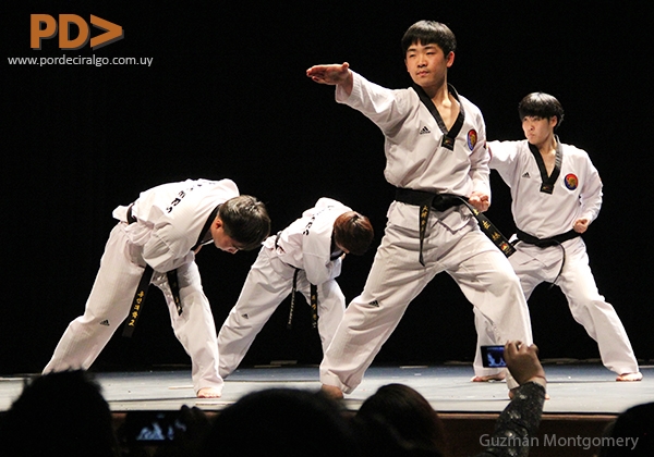 taekwondo-185-copiar.jpg