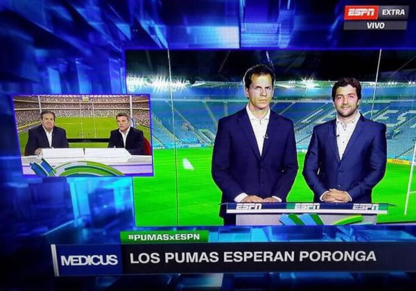 pumas.jpg