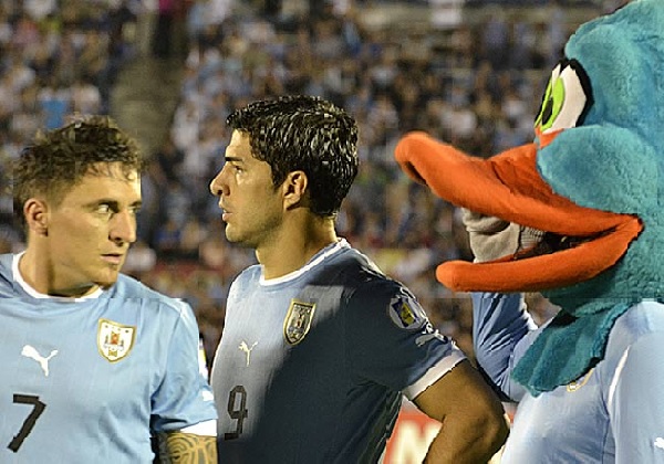 cebolla-suarez-y-pato.jpg